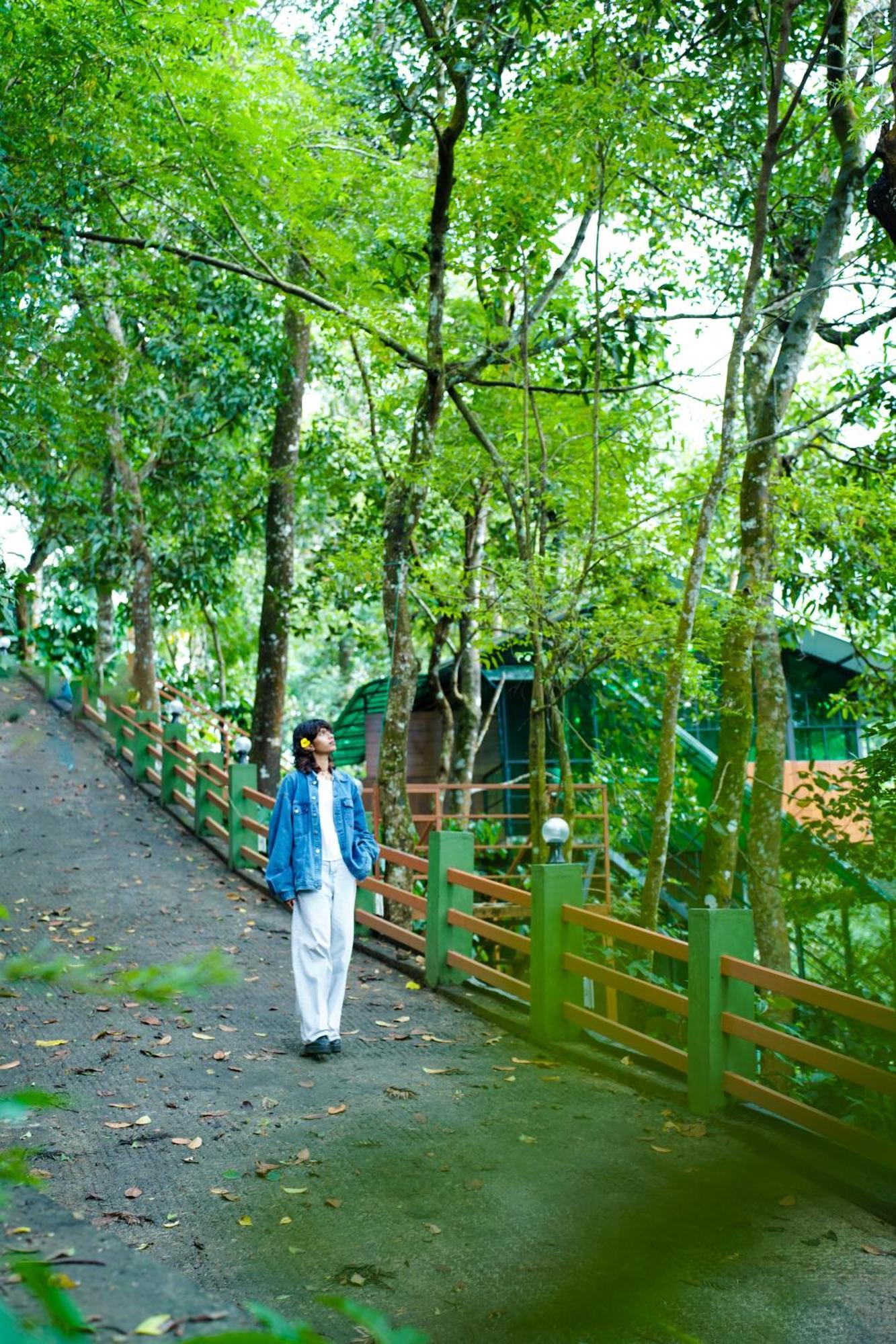 Space Rock Resort Kalpetta Exterior photo
