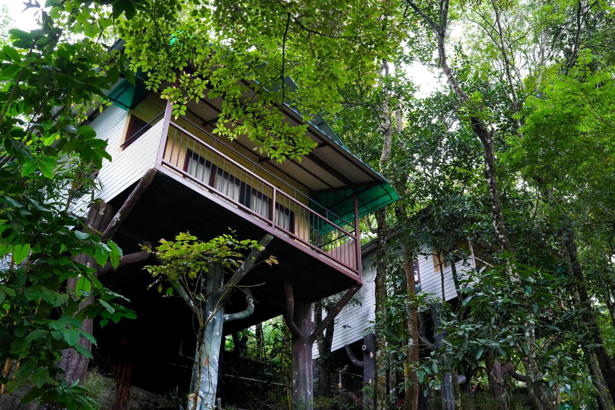 Space Rock Resort Kalpetta Exterior photo